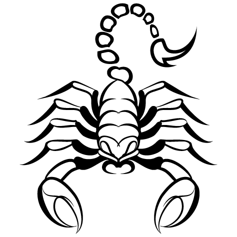 Scorpion empereur